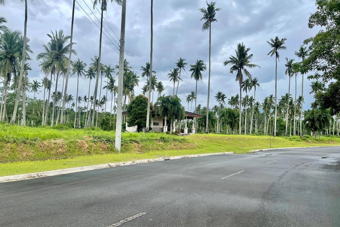 Land for Sale in Hacienda Escudero, Anastacia, Tiaong, Quezon – photo 4