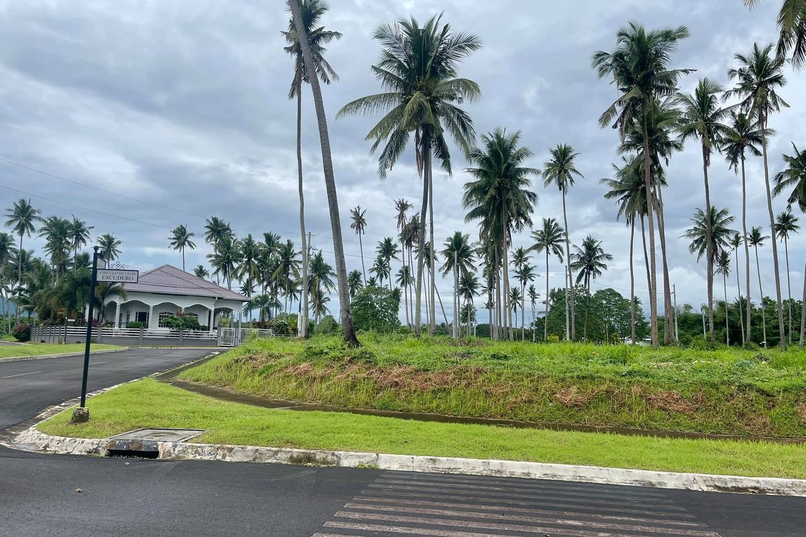 Land for Sale in Hacienda Escudero, Anastacia, Tiaong, Quezon – photo 5