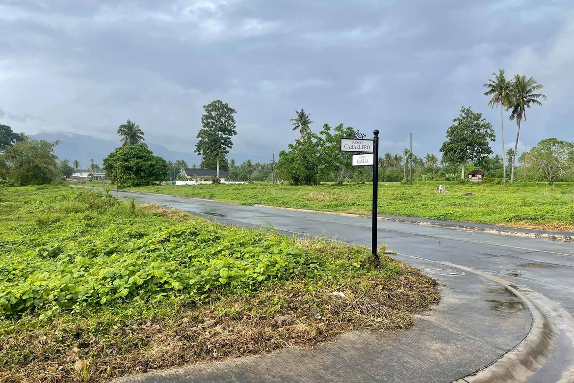 Land for Sale in Hacienda Escudero, Anastacia, Tiaong, Quezon – photo 6