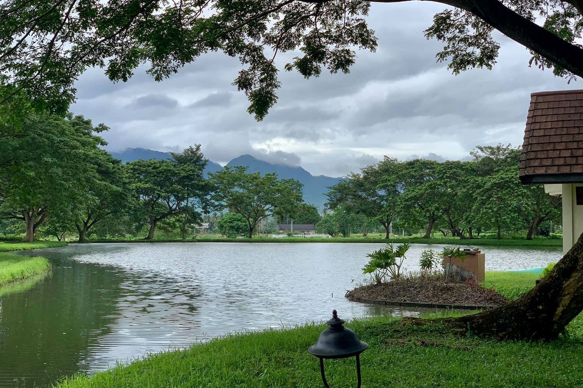 Land for Sale in Hacienda Escudero, Anastacia, Tiaong, Quezon – photo 8