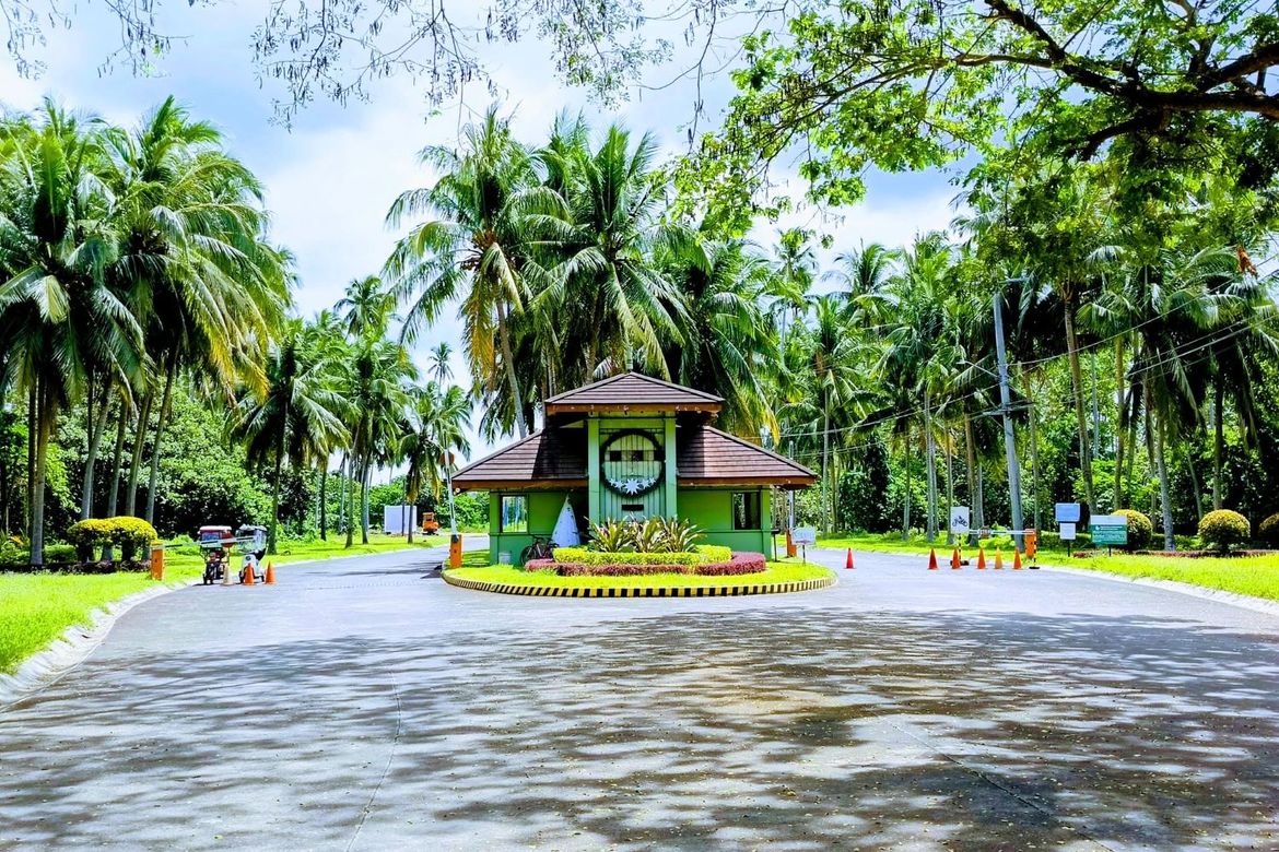 Land for Sale in Hacienda Escudero, Anastacia, Tiaong, Quezon