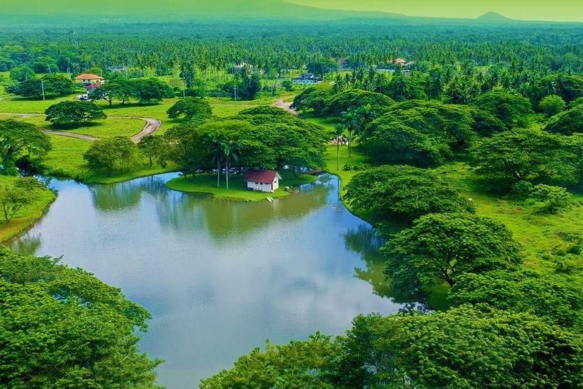 Land for Sale in Hacienda Escudero, Anastacia, Tiaong, Quezon – photo 3