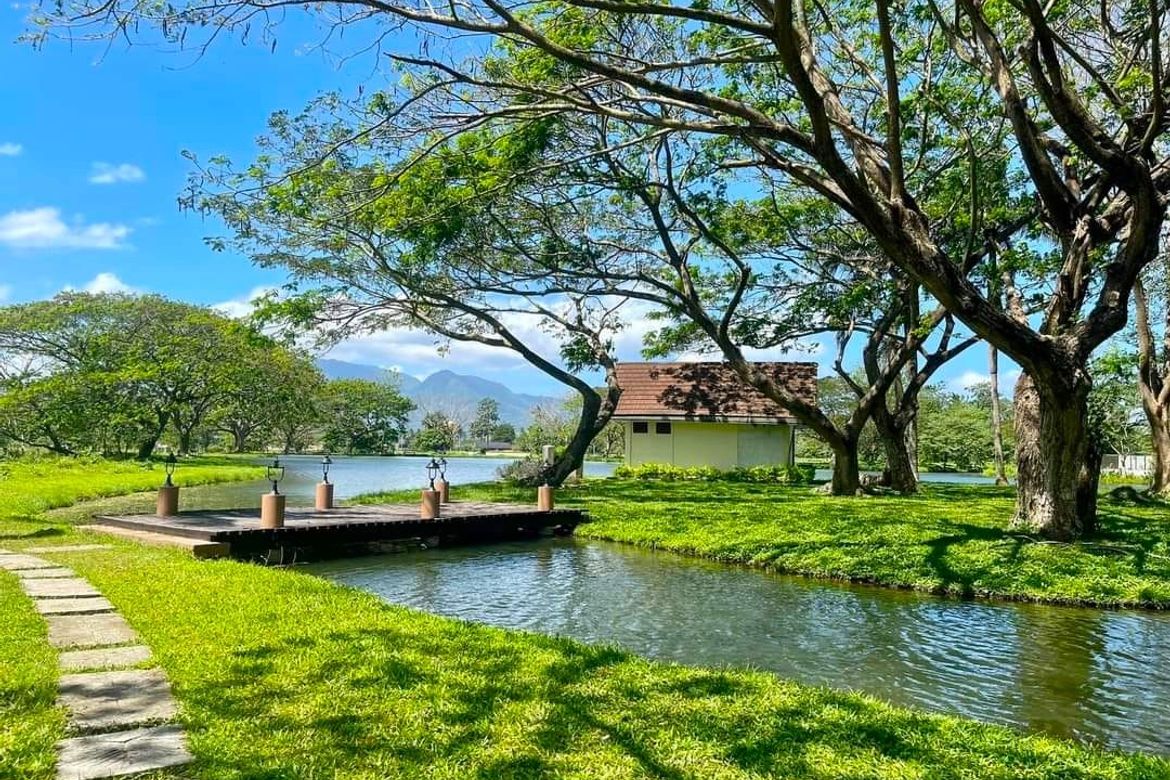 Land for Sale in Hacienda Escudero, Anastacia, Tiaong, Quezon – photo 6