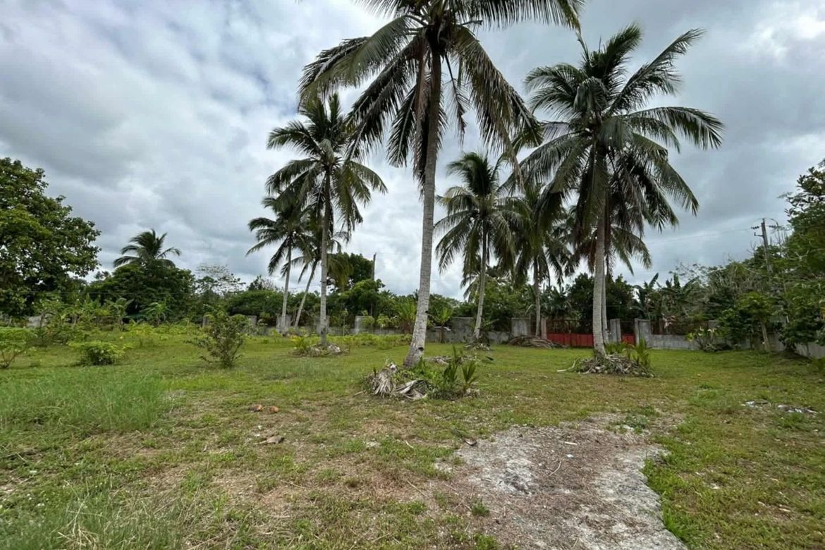 Land for Sale in Halang, Amadeo, Cavite – photo 4