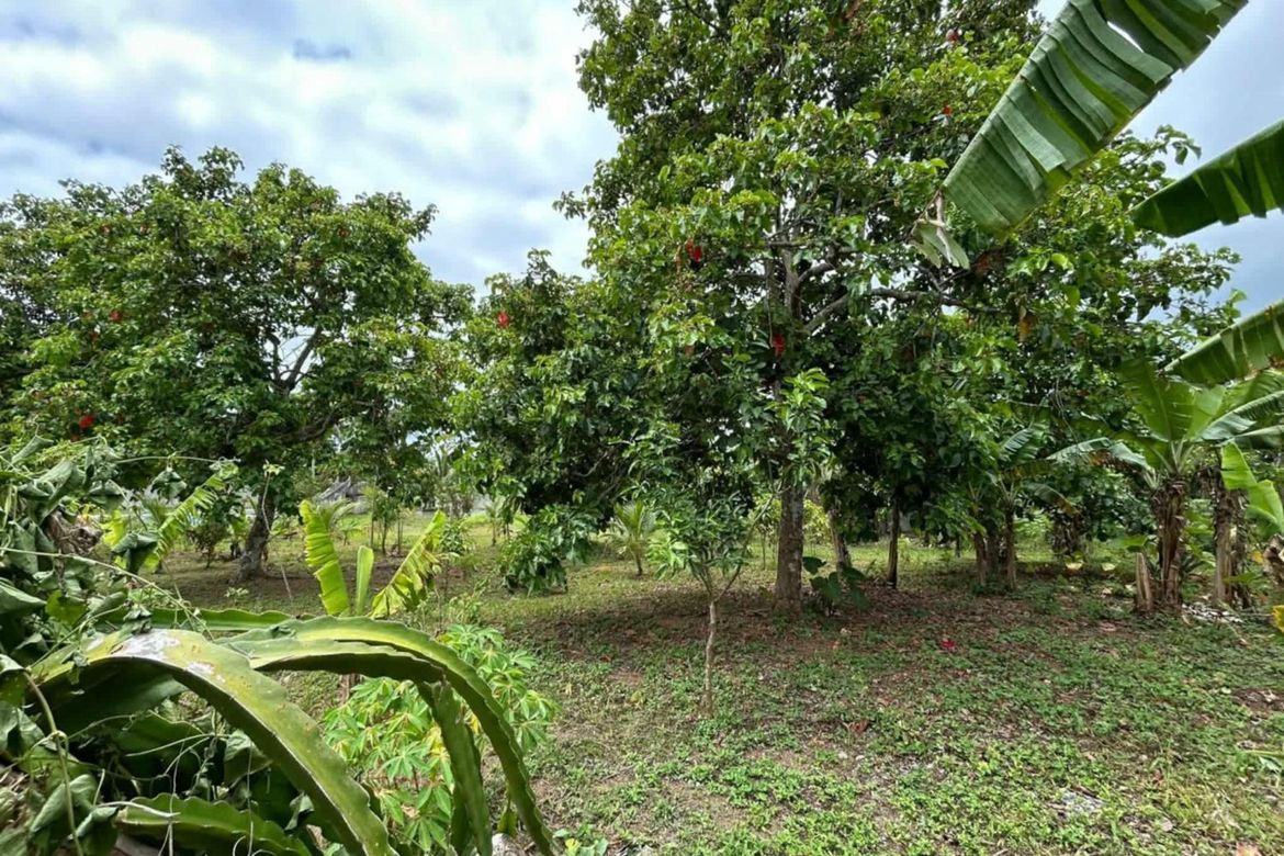 Land for Sale in Halang, Amadeo, Cavite – photo 7