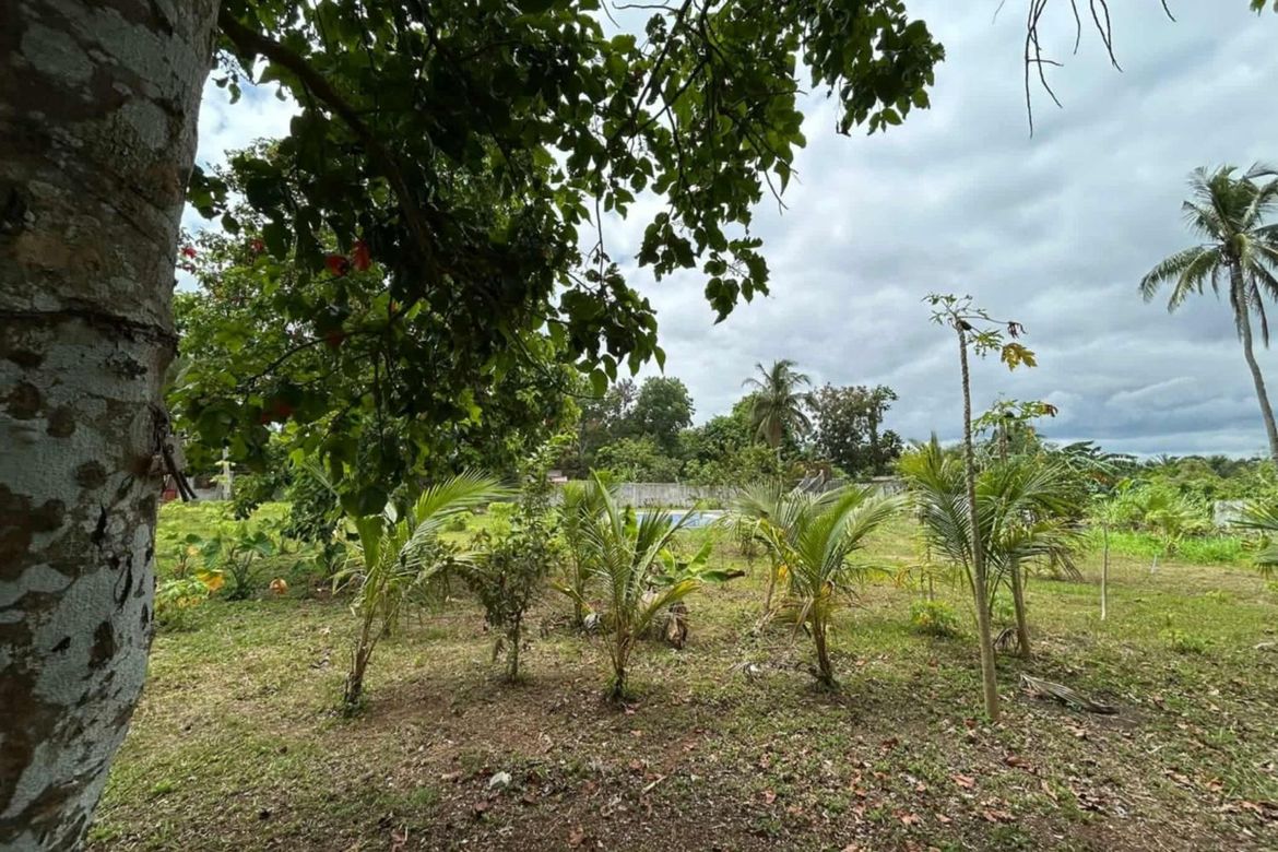 Land for Sale in Halang, Amadeo, Cavite – photo 8