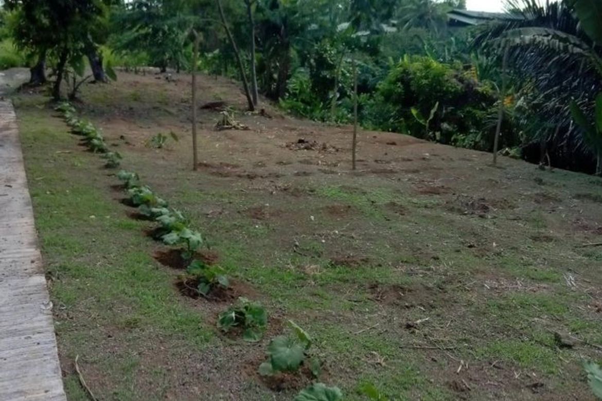 Land for Sale in Halang, Amadeo, Cavite – photo 3
