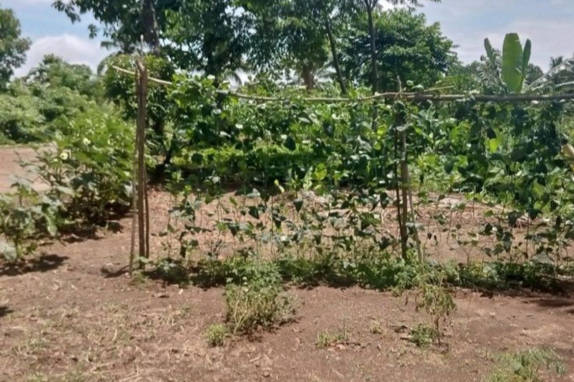 Land for Sale in Halang, Amadeo, Cavite – photo 4