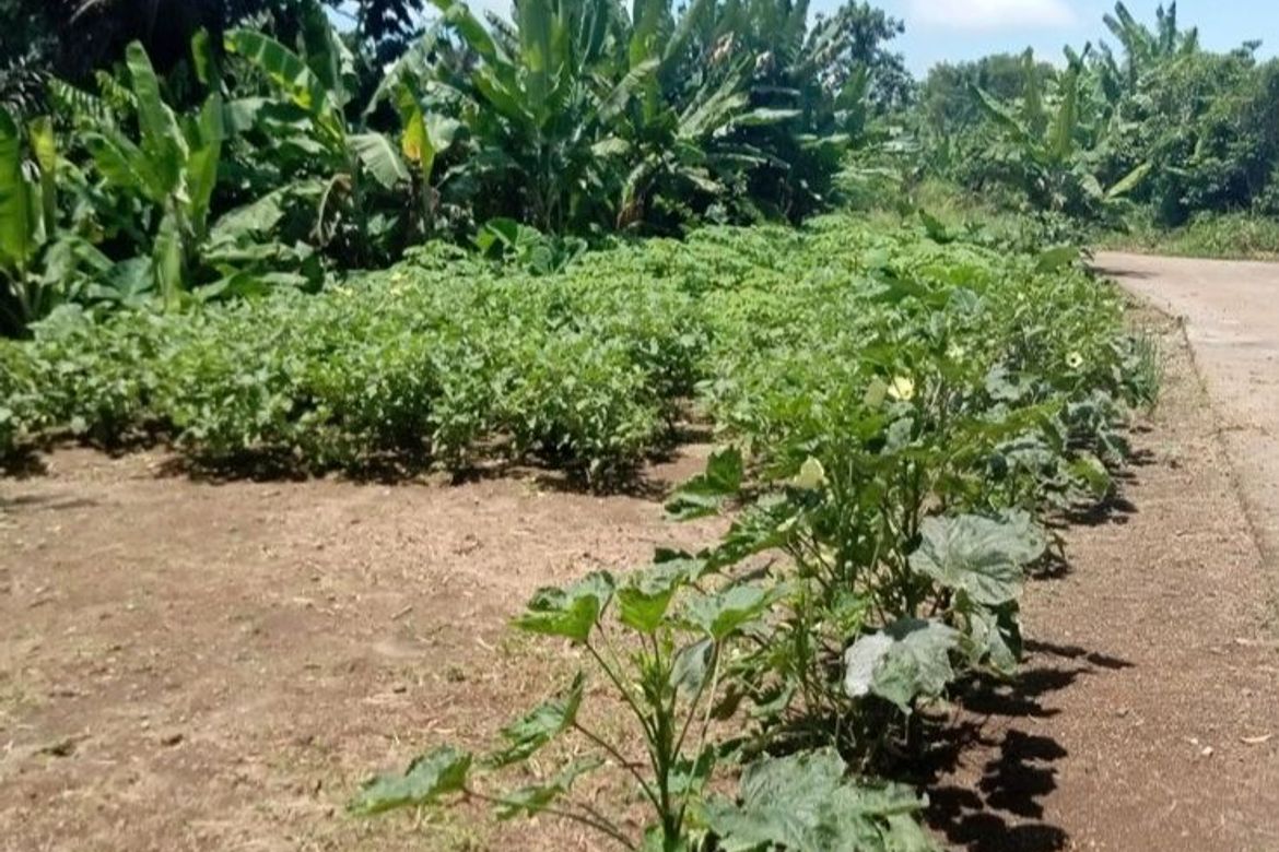 Land for Sale in Halang, Amadeo, Cavite – photo 7