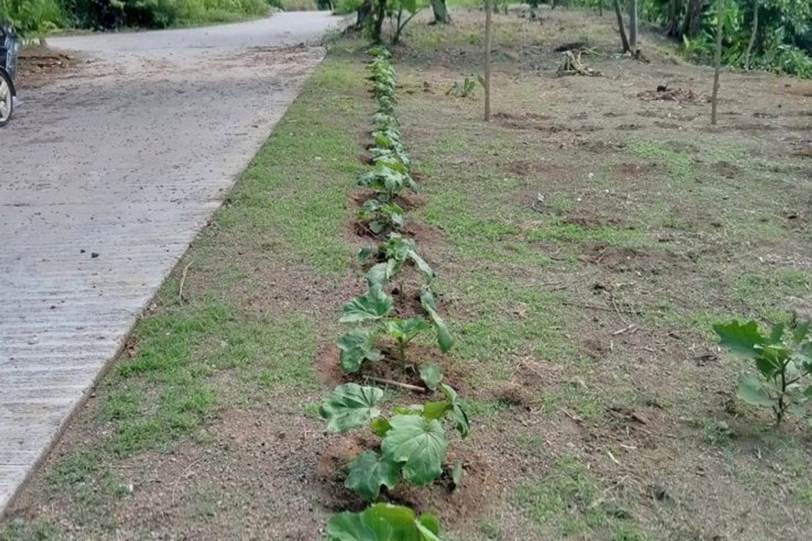 Land for Sale in Halang, Amadeo, Cavite – photo 8