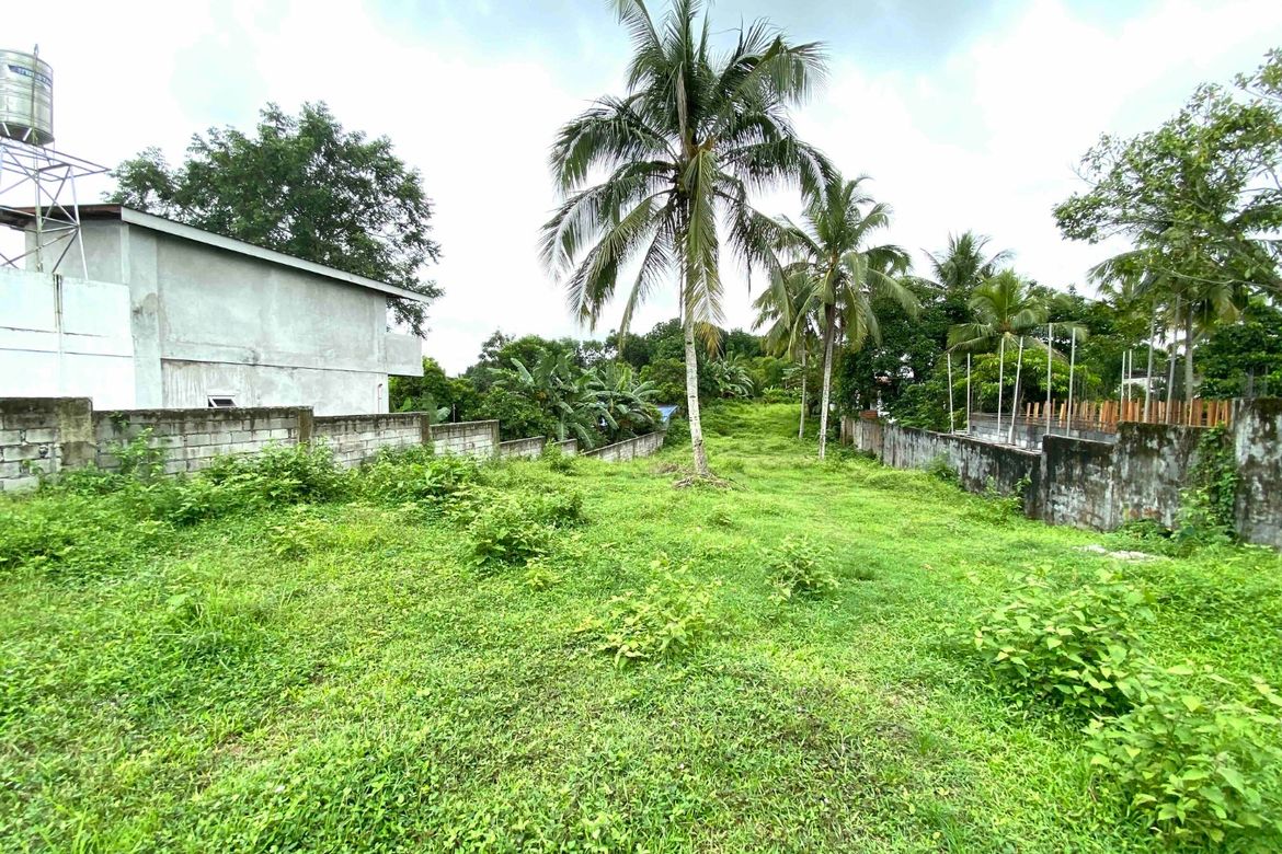 Land for Sale in Halang, Amadeo, Cavite