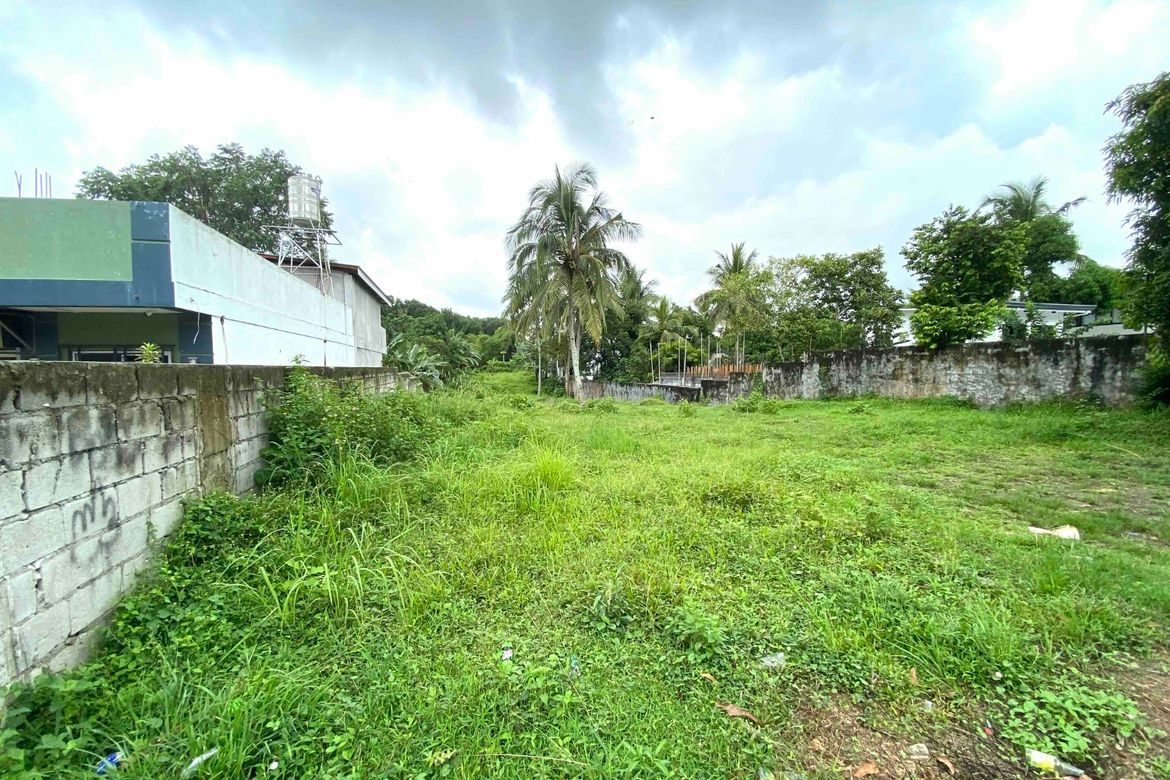 Land for Sale in Halang, Amadeo, Cavite – photo 2
