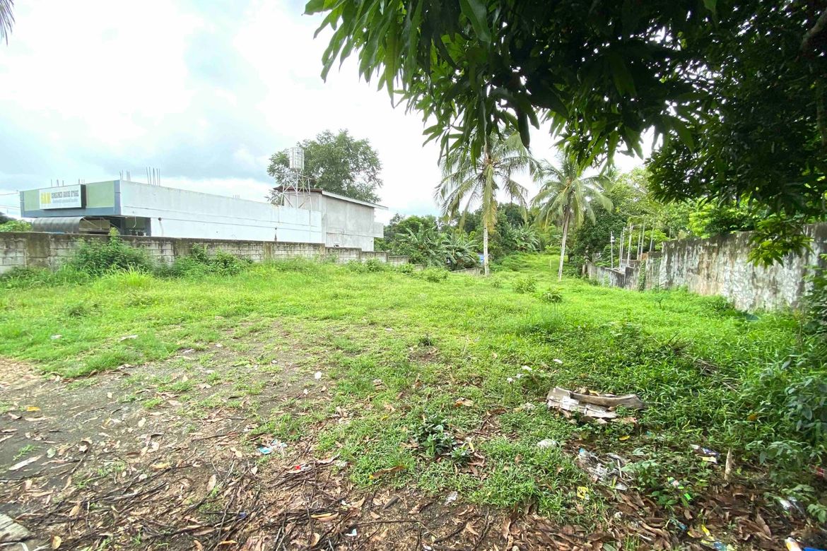 Land for Sale in Halang, Amadeo, Cavite – photo 4