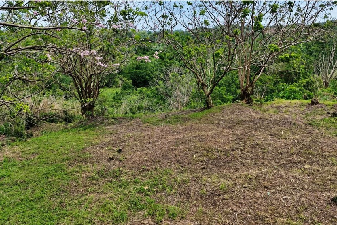 Land for Sale in Halayhayin, Pililla, Rizal – photo 4