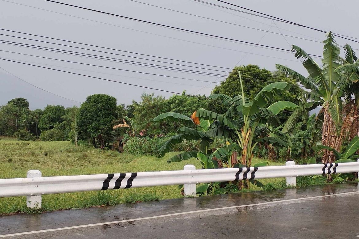 Land for Sale in Hanawan, Ocampo, Camarines Sur – photo 3