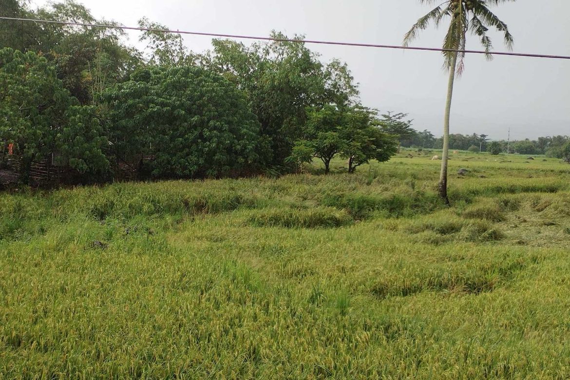 Land for Sale in Hanawan, Ocampo, Camarines Sur – photo 4