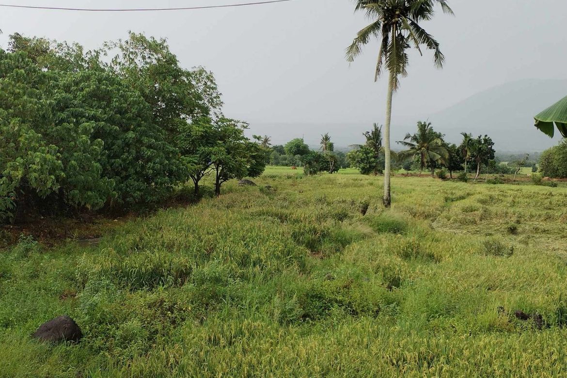 Land for Sale in Hanawan, Ocampo, Camarines Sur – photo 6