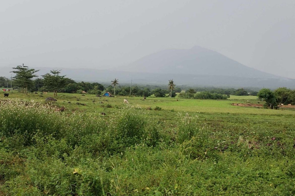 Land for Sale in Hanawan, Ocampo, Camarines Sur – photo 7