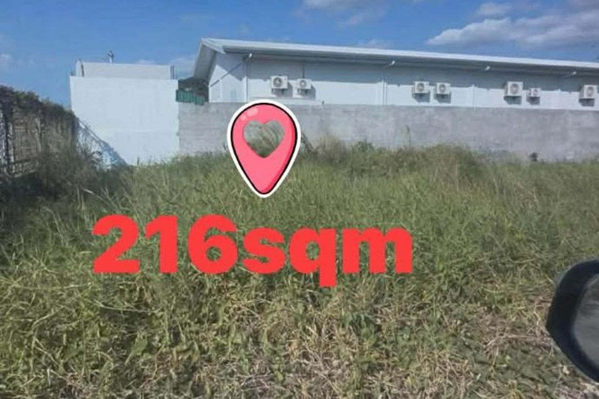 Land for Sale in Hermogenes C. Concepcion, Sr., Cabanatuan, Nueva Ecija
