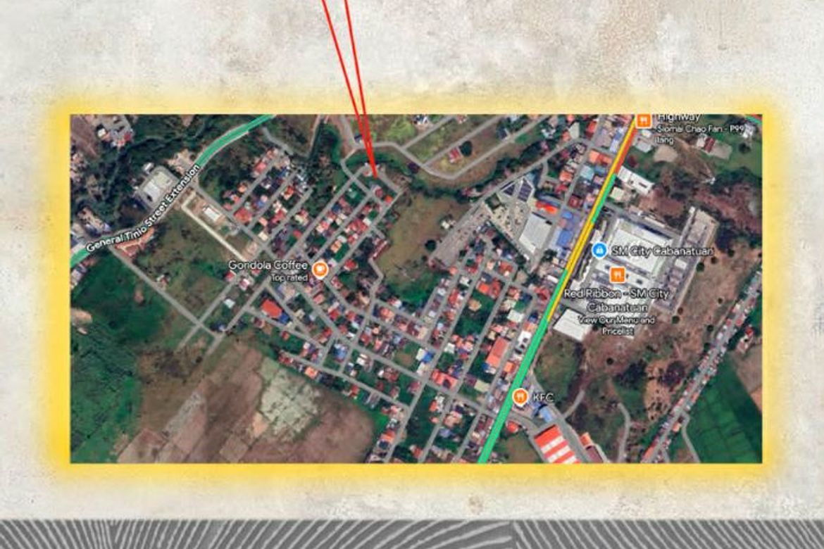 Land for Sale in Hermogenes C. Concepcion, Sr., Cabanatuan, Nueva Ecija – photo 4