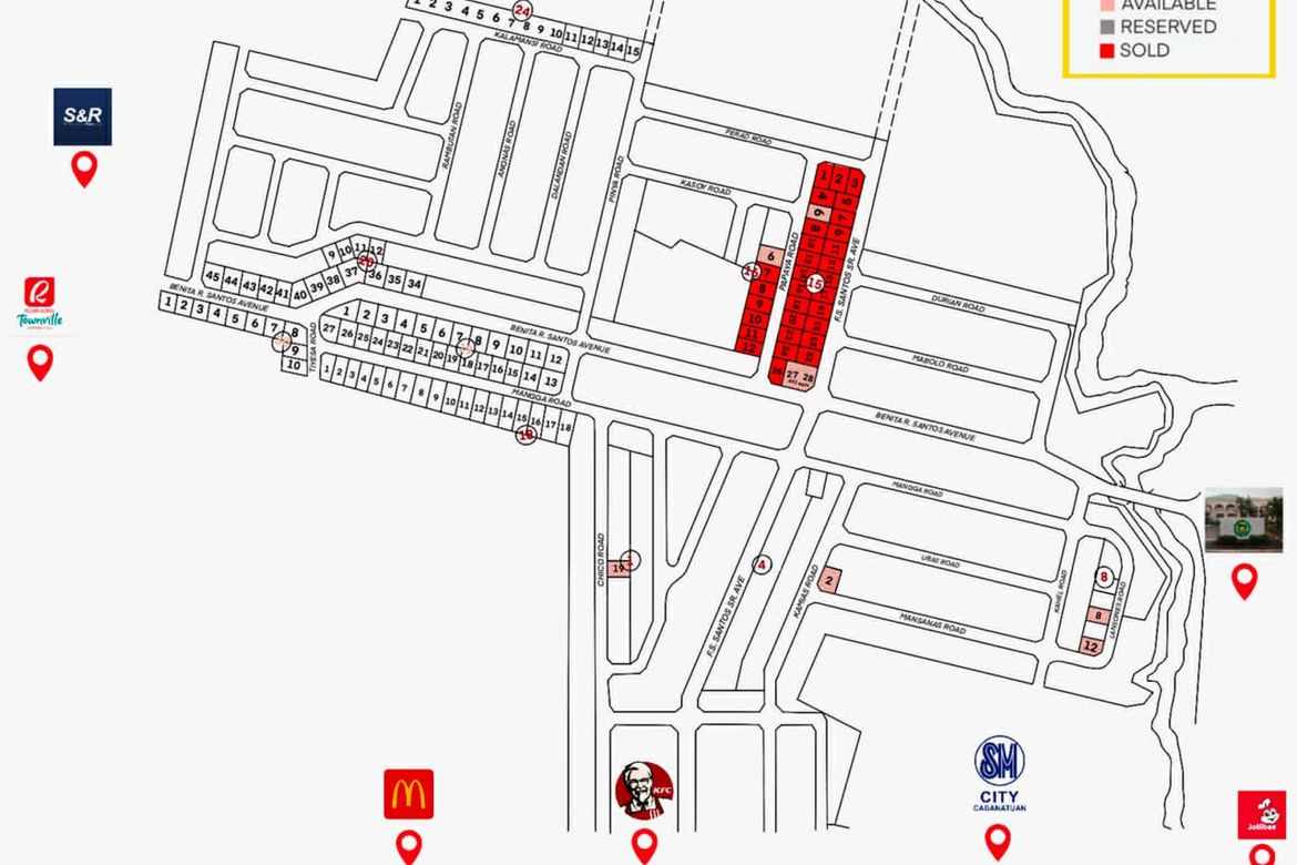 Land for Sale in Hermogenes C. Concepcion, Sr., Cabanatuan, Nueva Ecija – photo 5