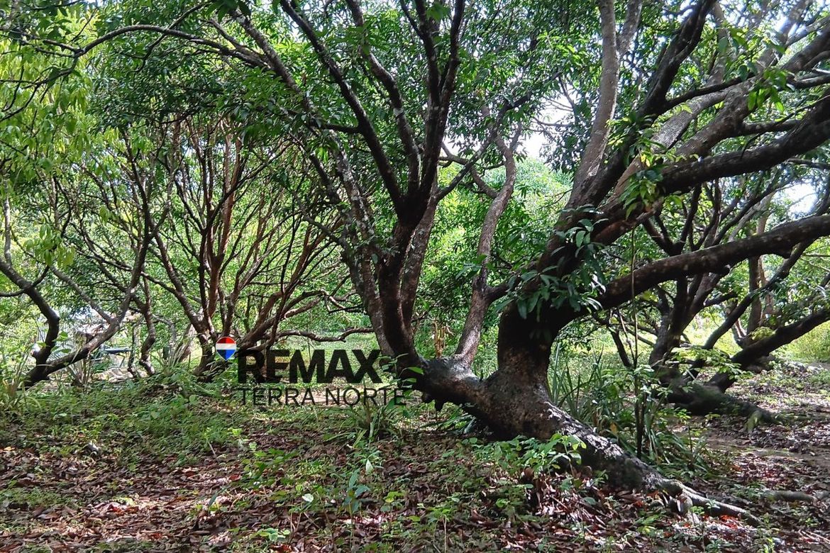 Land for Sale in Hermosa, Dasol, Pangasinan – photo 5