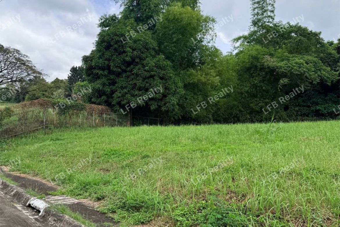 Land for Sale in Highlands Pointe, Dolores, Taytay, Rizal – photo 2