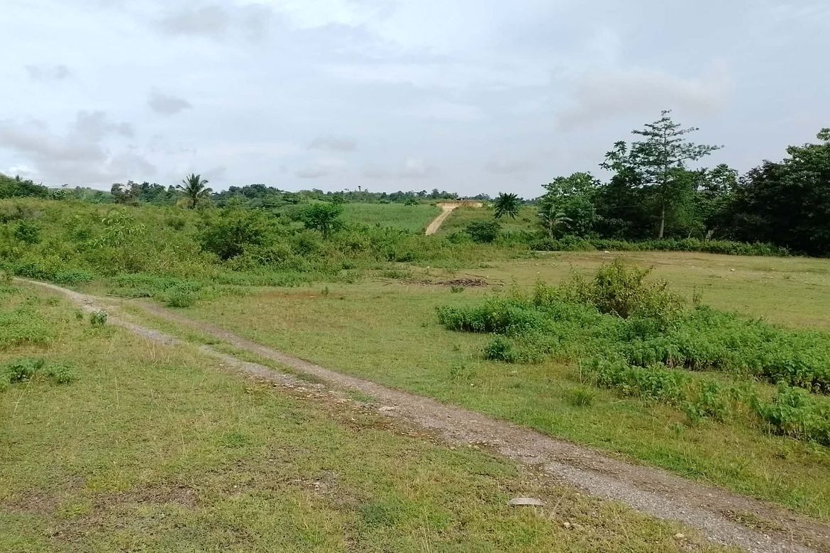 Land for Sale in Himocdongon, Mabinay, Negros Oriental