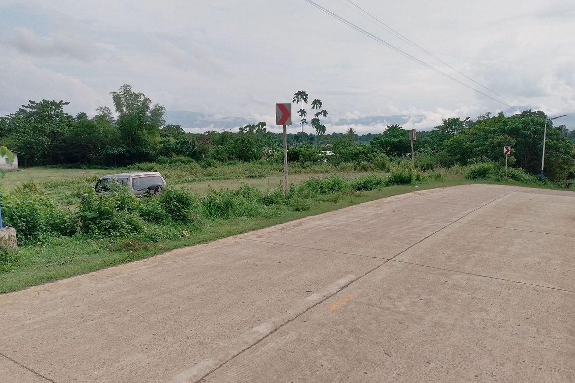 Land for Sale in Himocdongon, Mabinay, Negros Oriental – photo 2