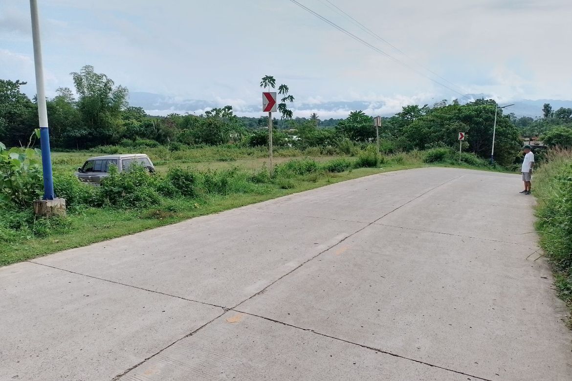 Land for Sale in Himocdongon, Mabinay, Negros Oriental – photo 3