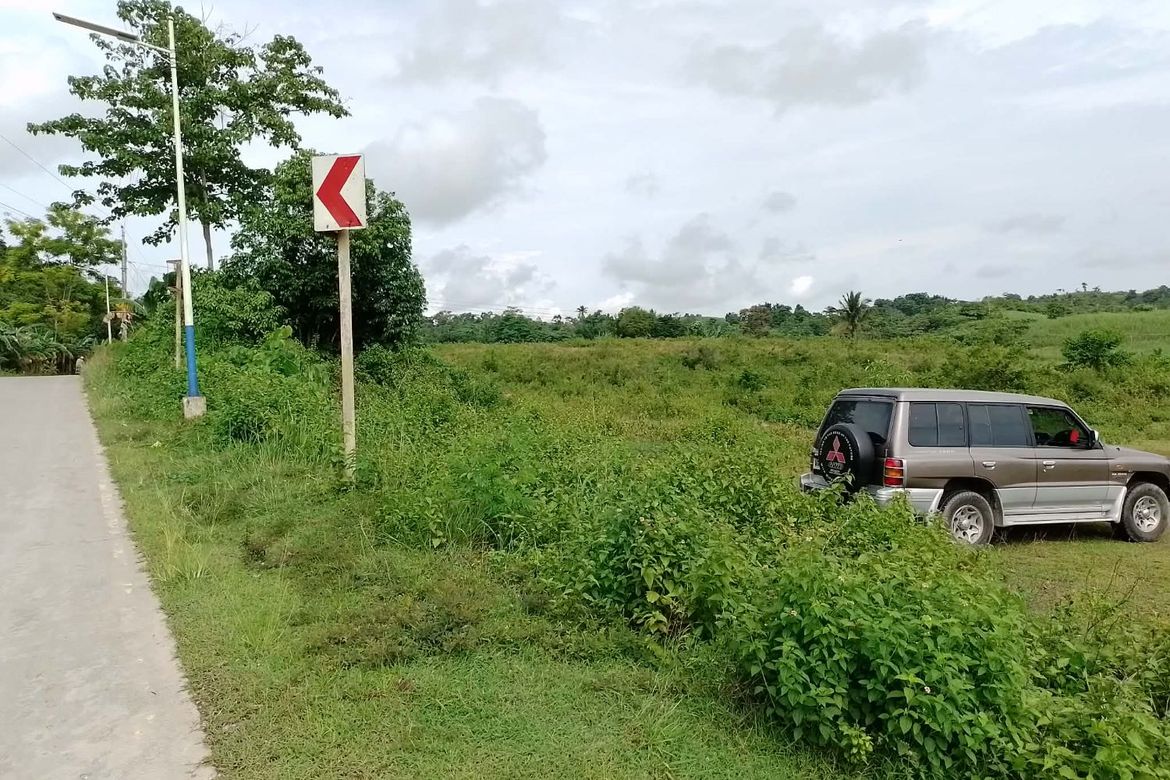Land for Sale in Himocdongon, Mabinay, Negros Oriental – photo 7