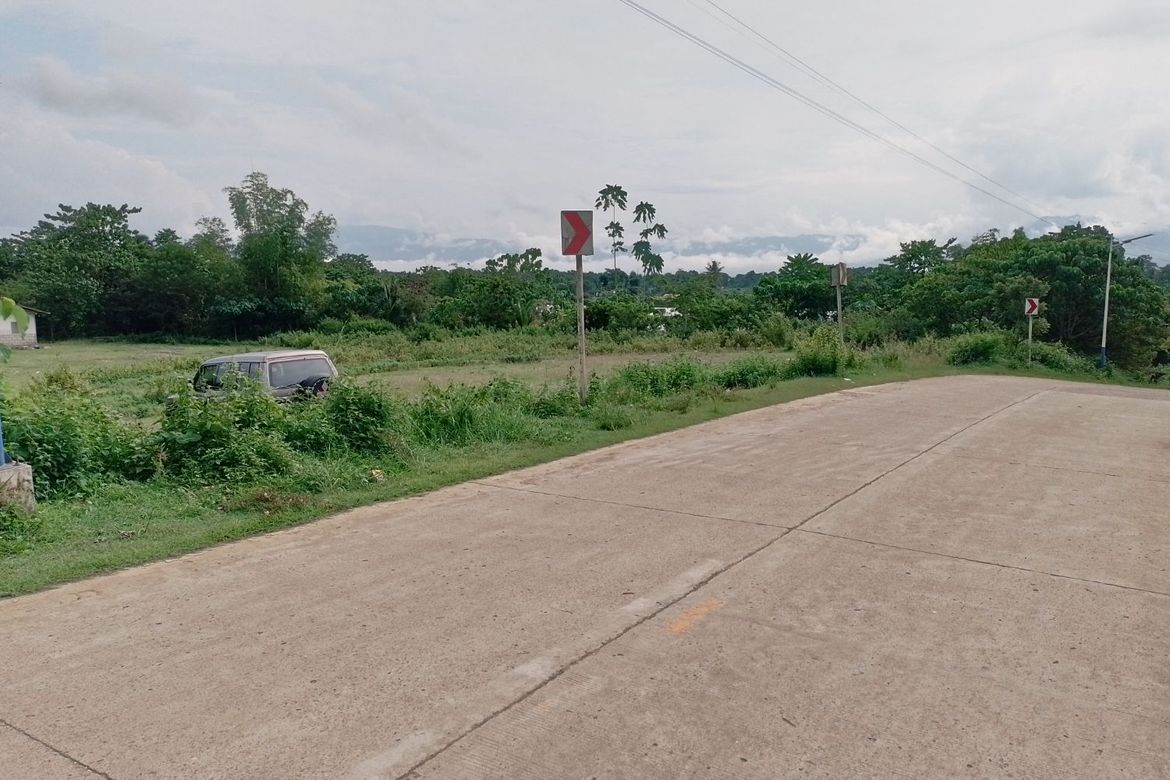 Land for Sale in Himocdongon, Mabinay, Negros Oriental – photo 2