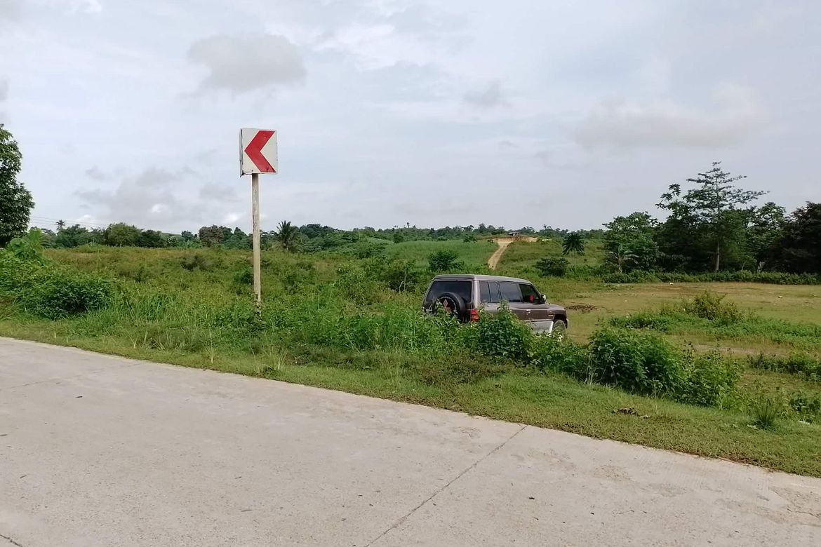 Land for Sale in Himocdongon, Mabinay, Negros Oriental – photo 6