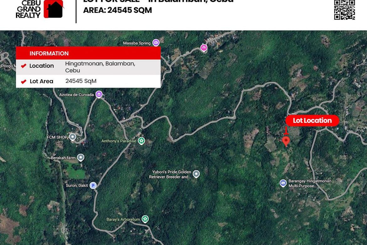 Land for Sale in Hingatmonan, Balamban, Cebu