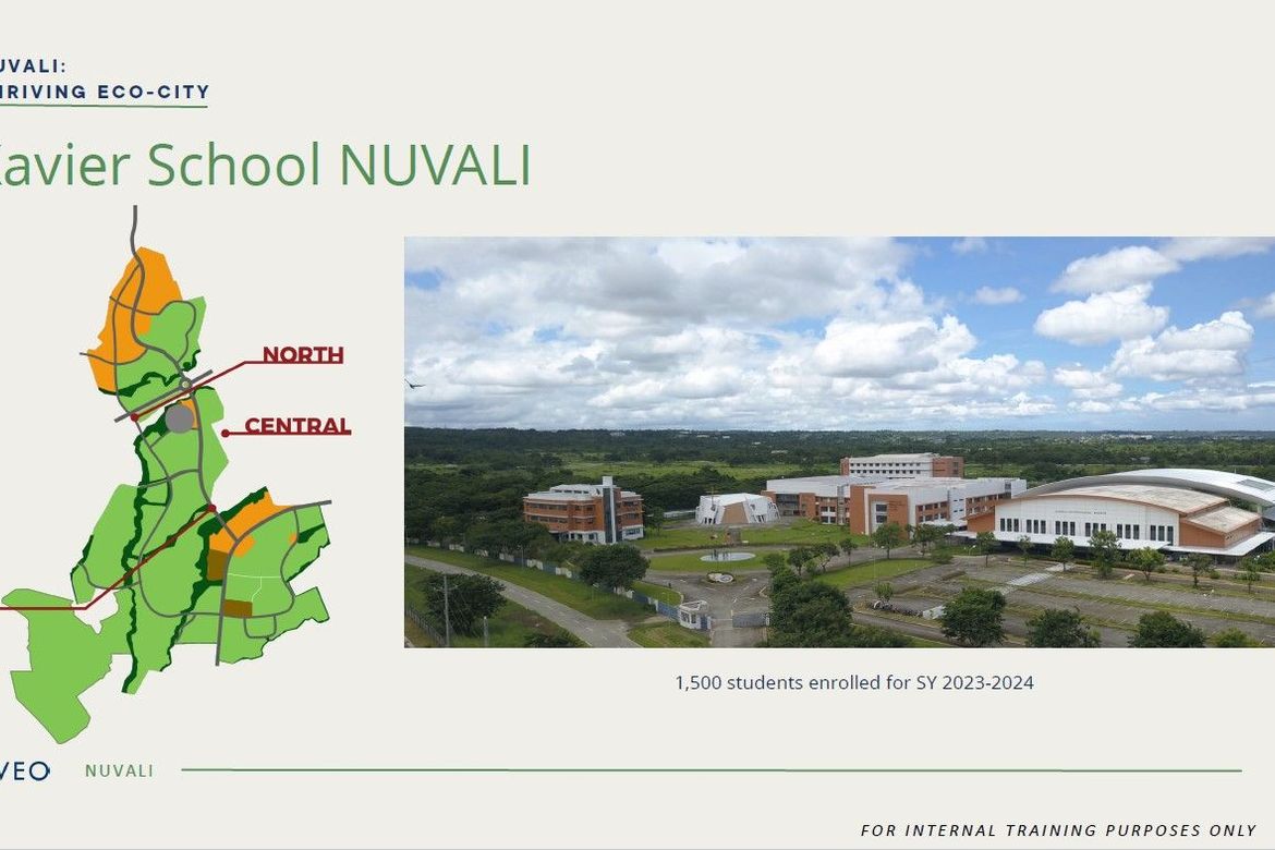 Land for Sale in Hornalan, Calamba, Laguna – photo 6