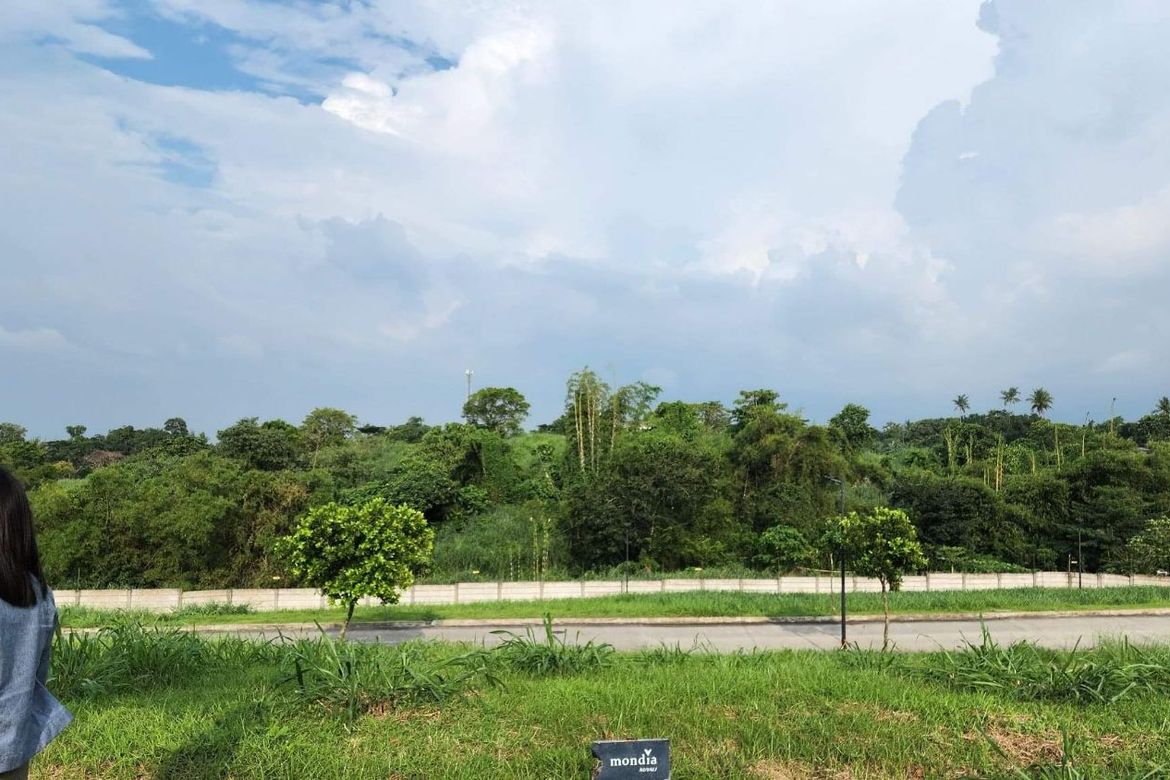 Land for Sale in Hornalan, Calamba, Laguna