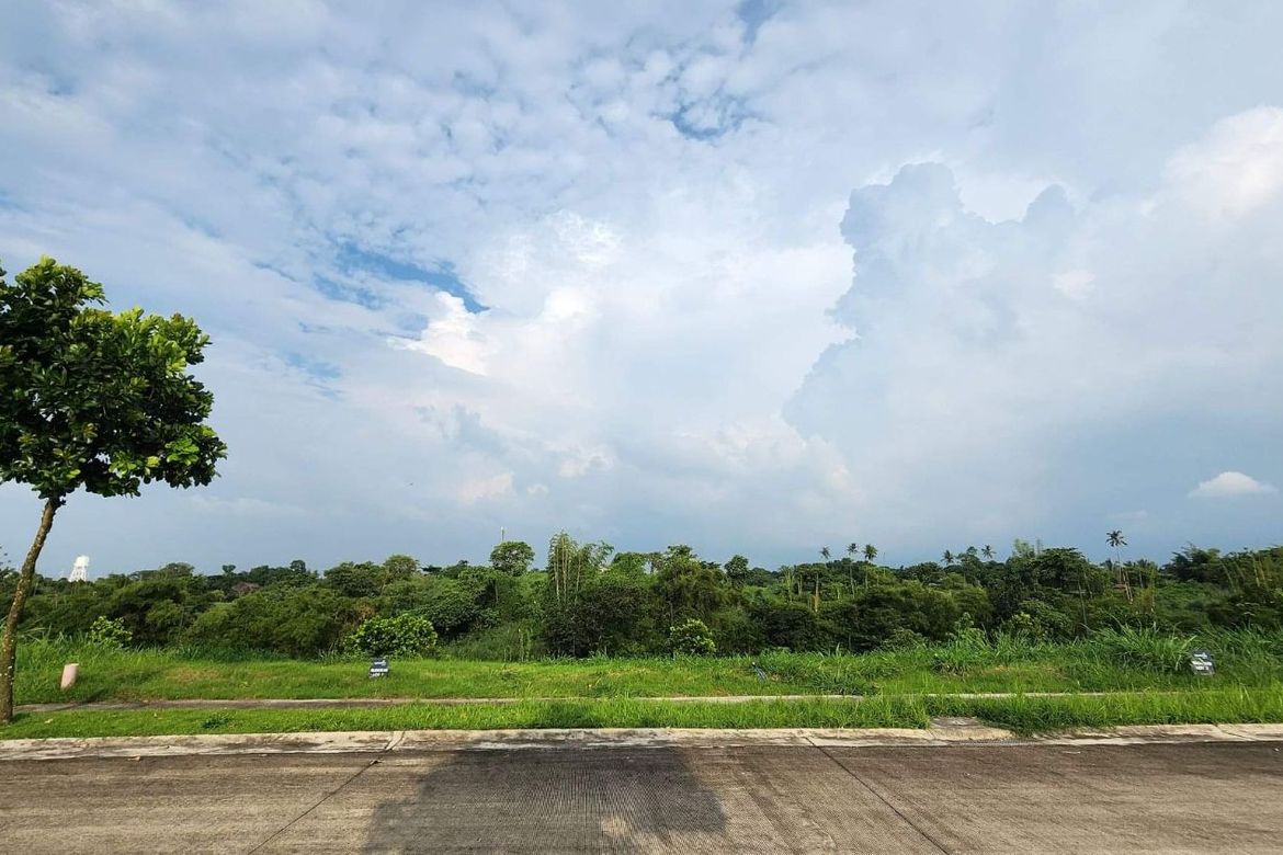 Land for Sale in Hornalan, Calamba, Laguna – photo 2