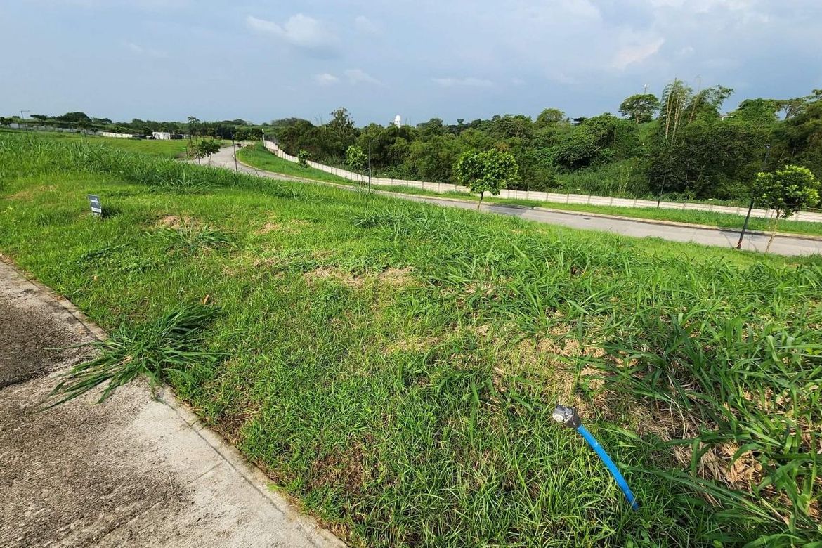 Land for Sale in Hornalan, Calamba, Laguna – photo 3