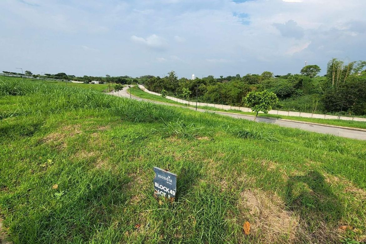 Land for Sale in Hornalan, Calamba, Laguna – photo 4