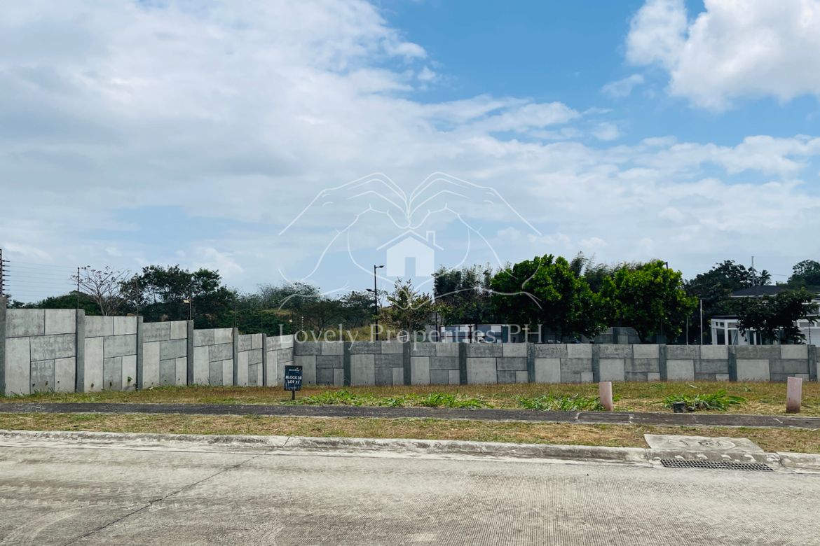 Land for Sale in Hornalan, Calamba, Laguna – photo 5
