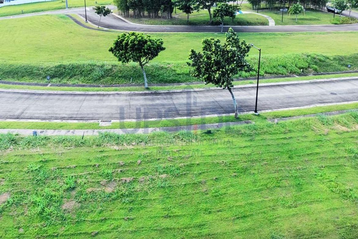 Land for Sale in Hornalan, Calamba, Laguna – photo 6