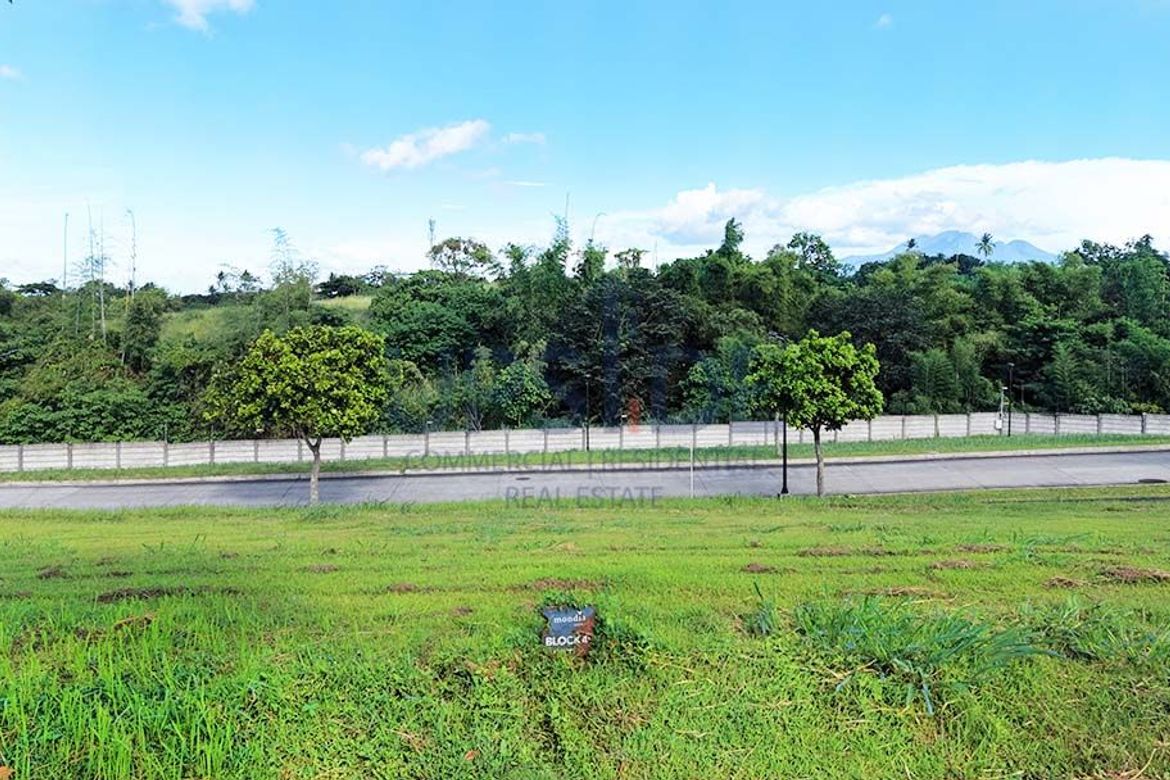 Land for Sale in Hornalan, Calamba, Laguna – photo 8