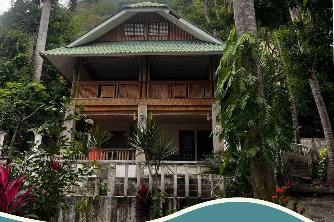Land for Sale in Hugom, San Juan, Batangas – photo 2