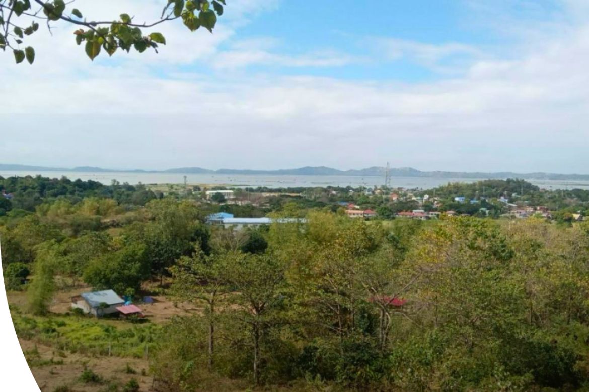Land for Sale in Hulo, Pililla, Rizal