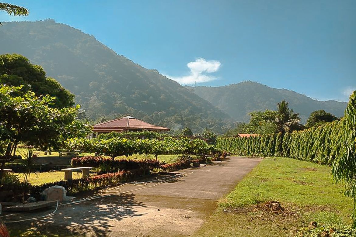 Land for Sale in Ibaba Del Norte, Paete, Laguna – photo 2