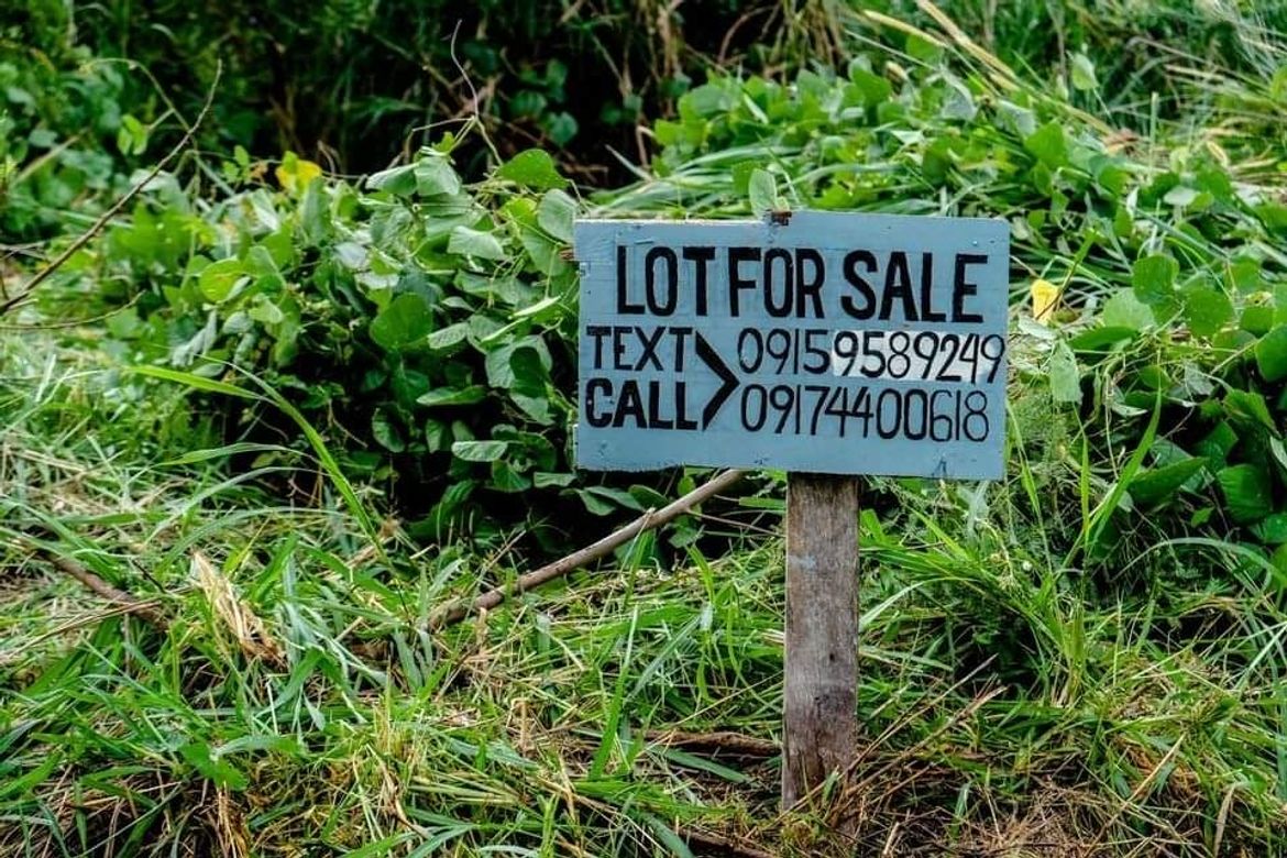 Land for Sale in Ibabang Iyam, Lucena, Quezon – photo 2