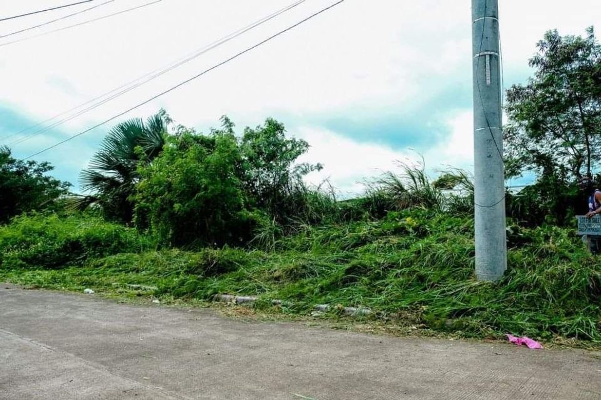 Land for Sale in Ibabang Iyam, Lucena, Quezon – photo 3