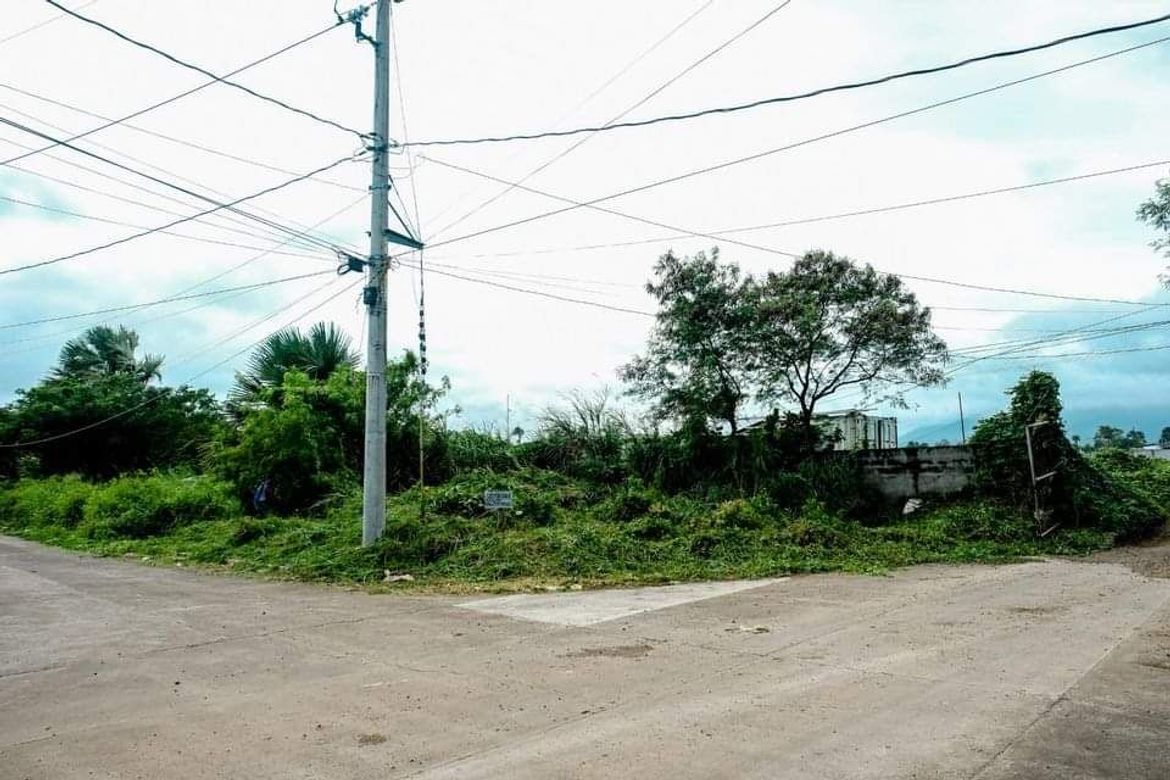 Land for Sale in Ibabang Iyam, Lucena, Quezon – photo 5