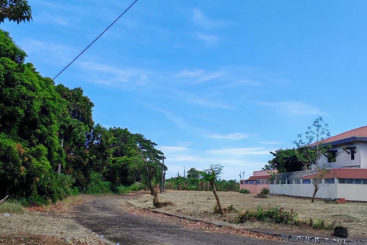 Land for Sale in Ibabang Iyam, Lucena, Quezon – photo 2