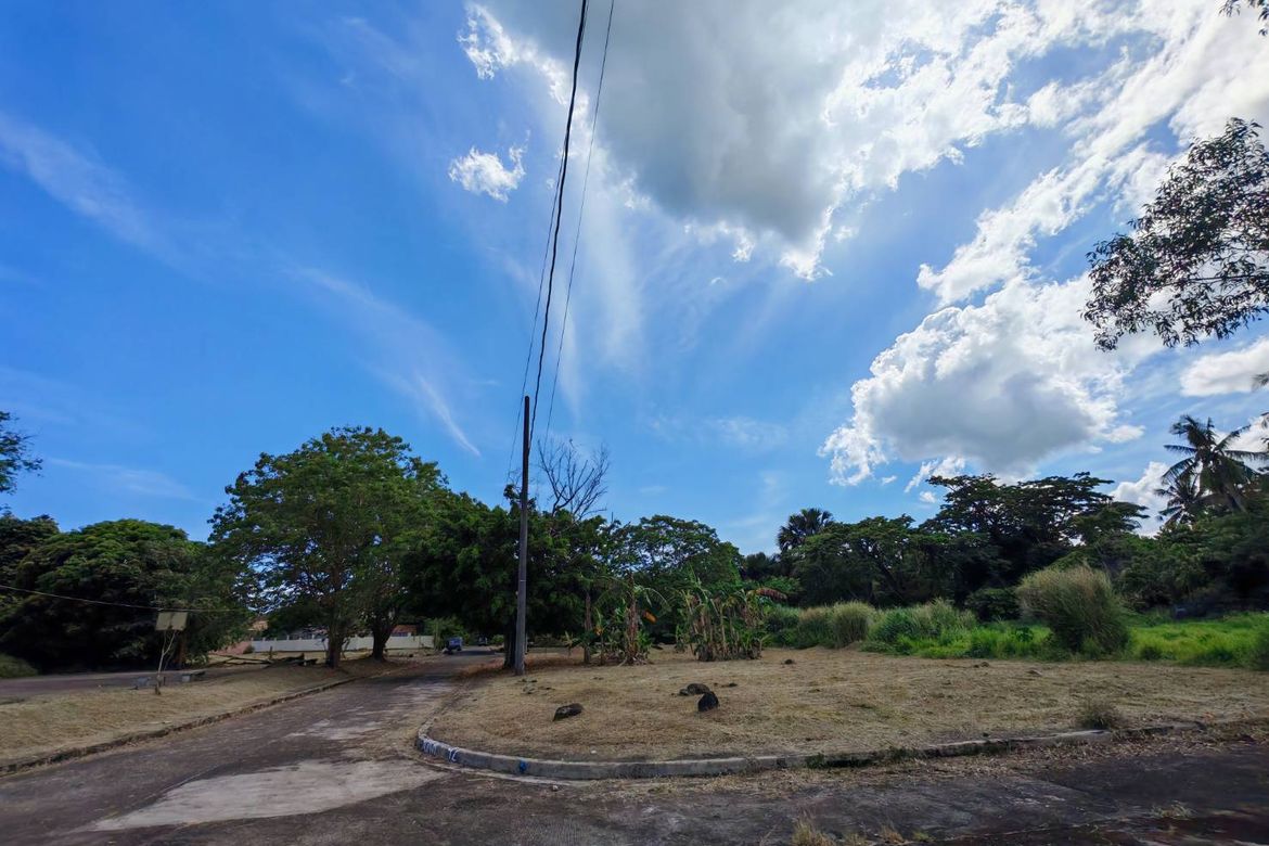 Land for Sale in Ibabang Iyam, Lucena, Quezon – photo 6